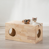 JUNO Tatami: Kitty Box